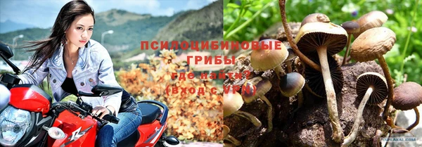 МДПВ Лихославль