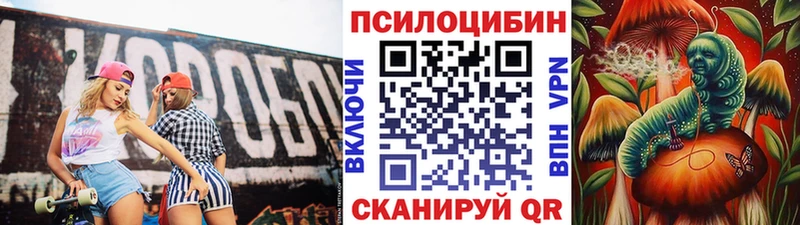 ОМГ ОМГ ONION  Челябинск  Псилоцибиновые грибы Cubensis 