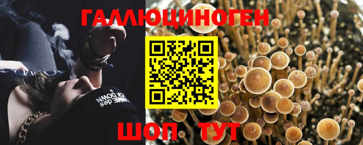 Галлюциногенные грибы Cubensis Челябинск